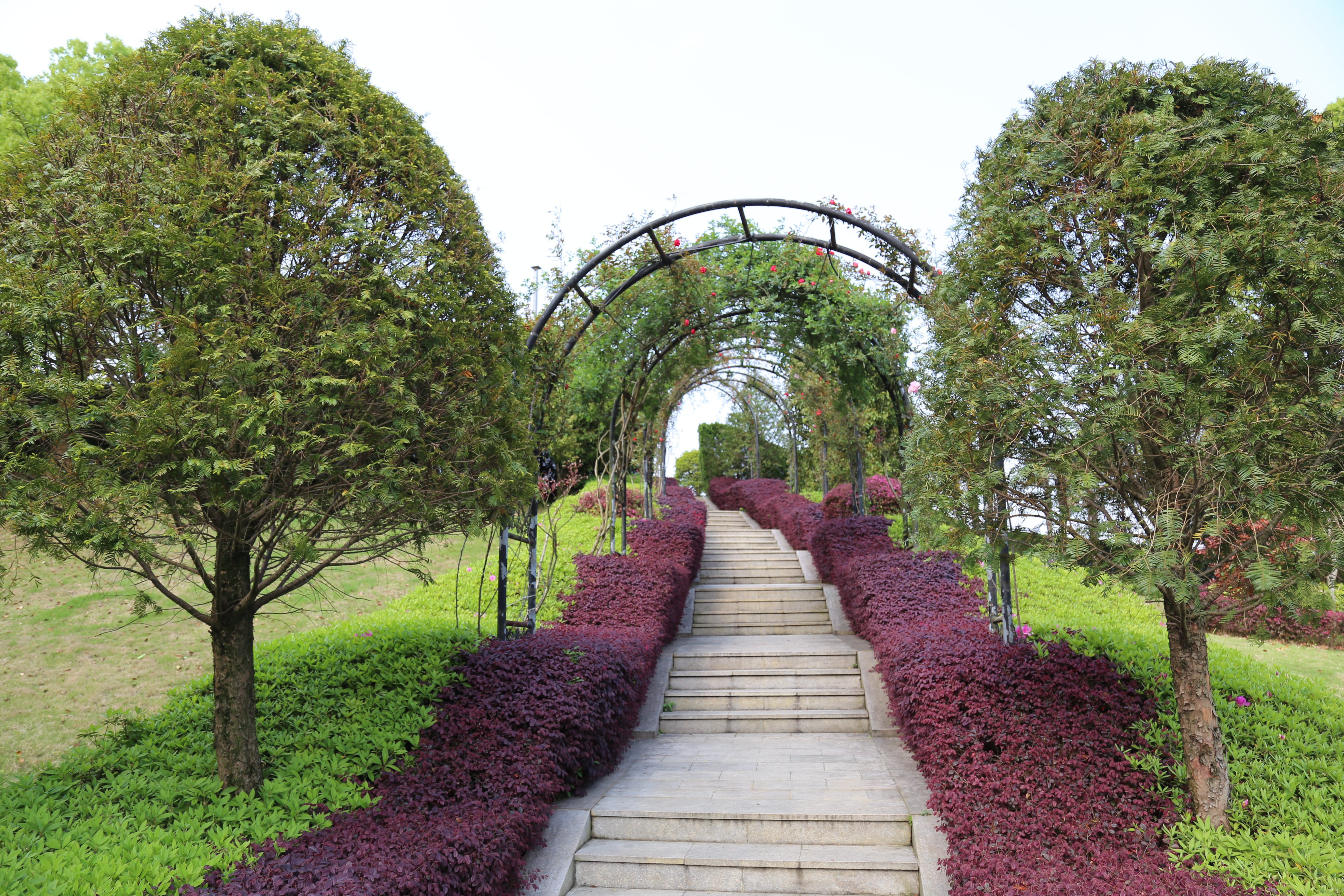 美高梅集团4688am(唯一)有限公司官网