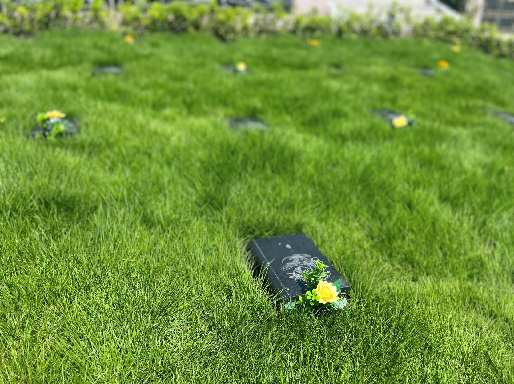 美高梅集团4688am(唯一)有限公司官网