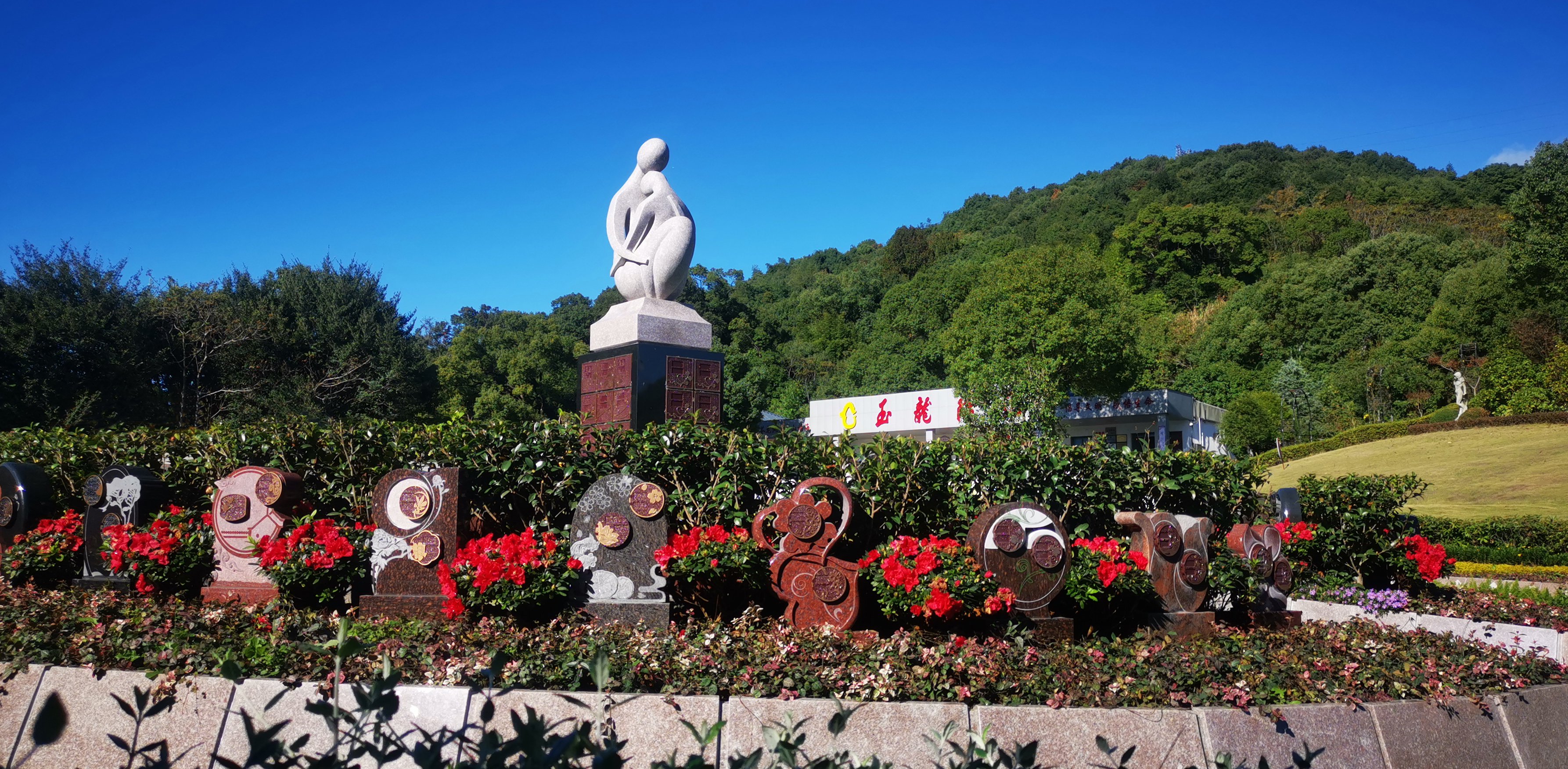 未来，，，生态葬或将成为主流