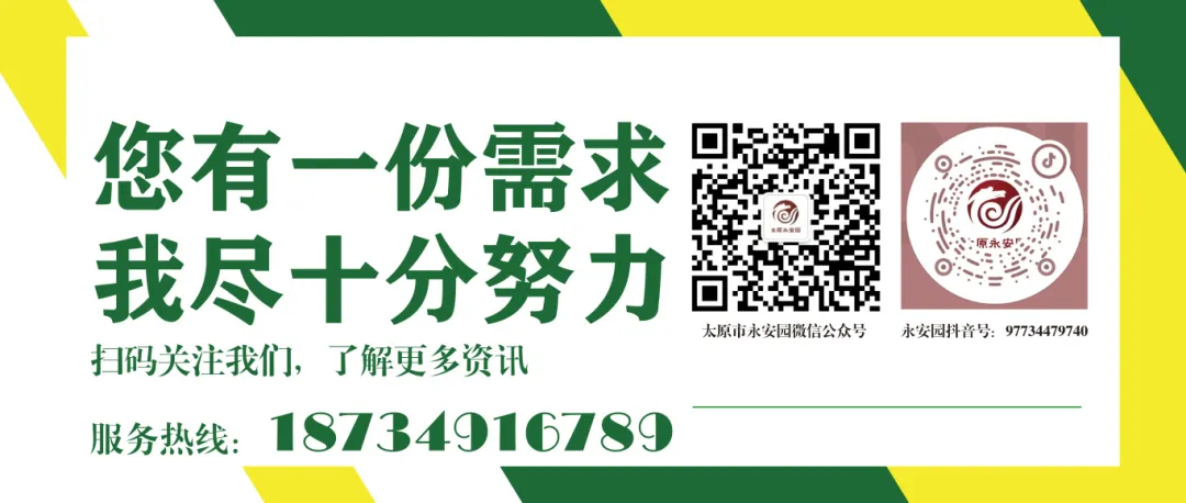 美高梅集团4688am(唯一)有限公司官网