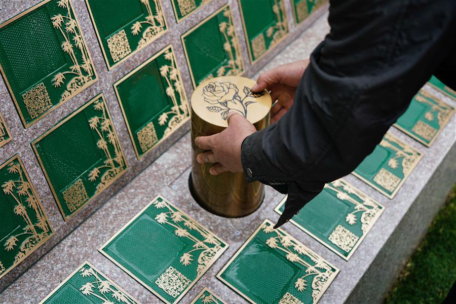 美高梅集团4688am(唯一)有限公司官网