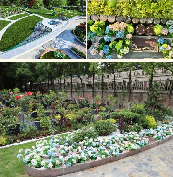 美高梅集团4688am(唯一)有限公司官网