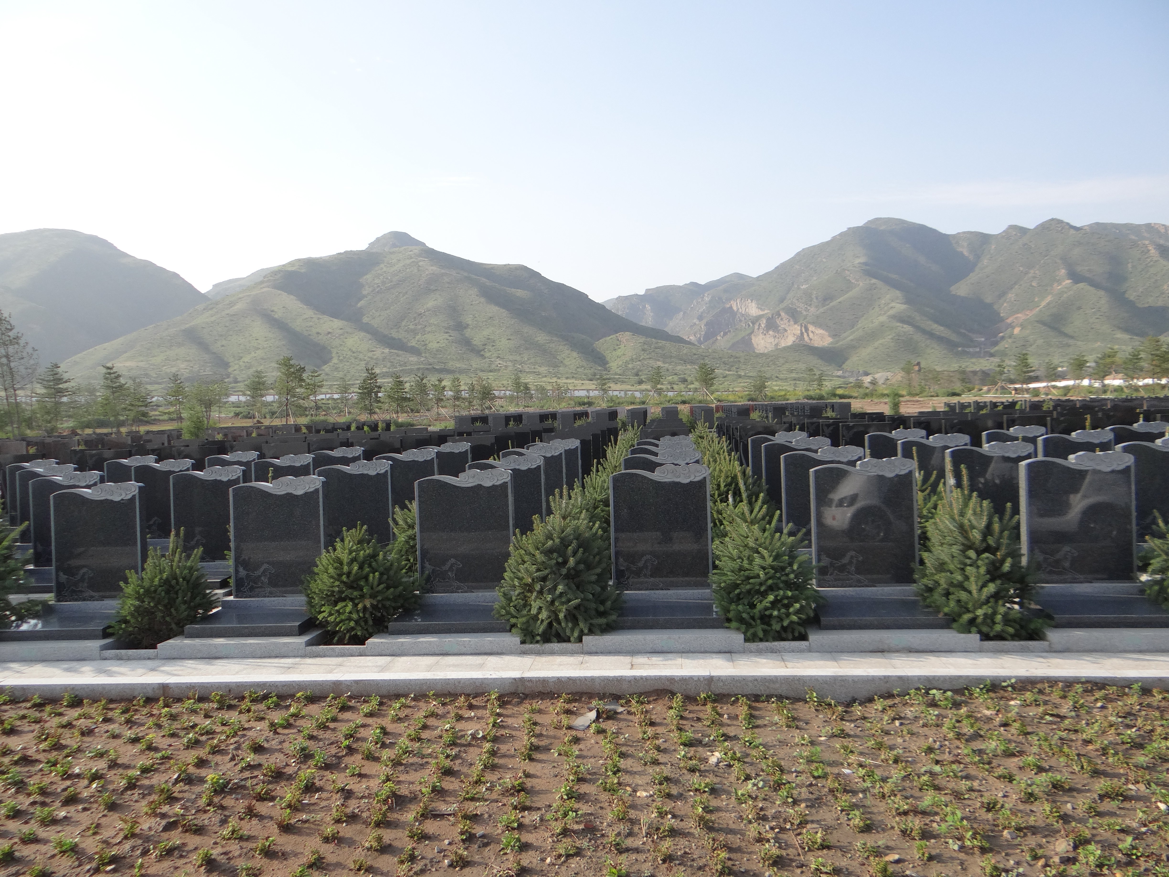 美高梅集团4688am(唯一)有限公司官网