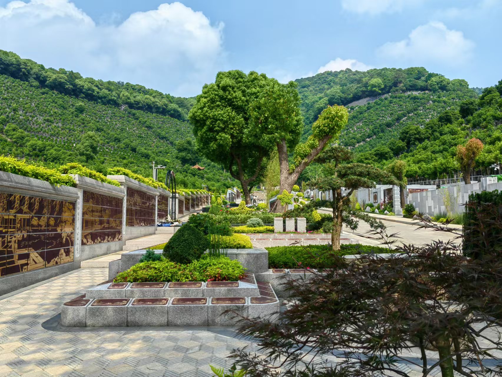 引领绿色生态新民俗，，，，，，，，共筑生命协调家园