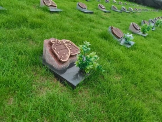 美高梅集团4688am(唯一)有限公司官网