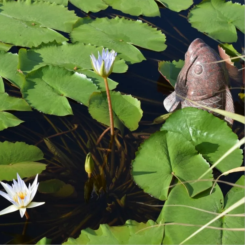 美高梅集团4688am(唯一)有限公司官网