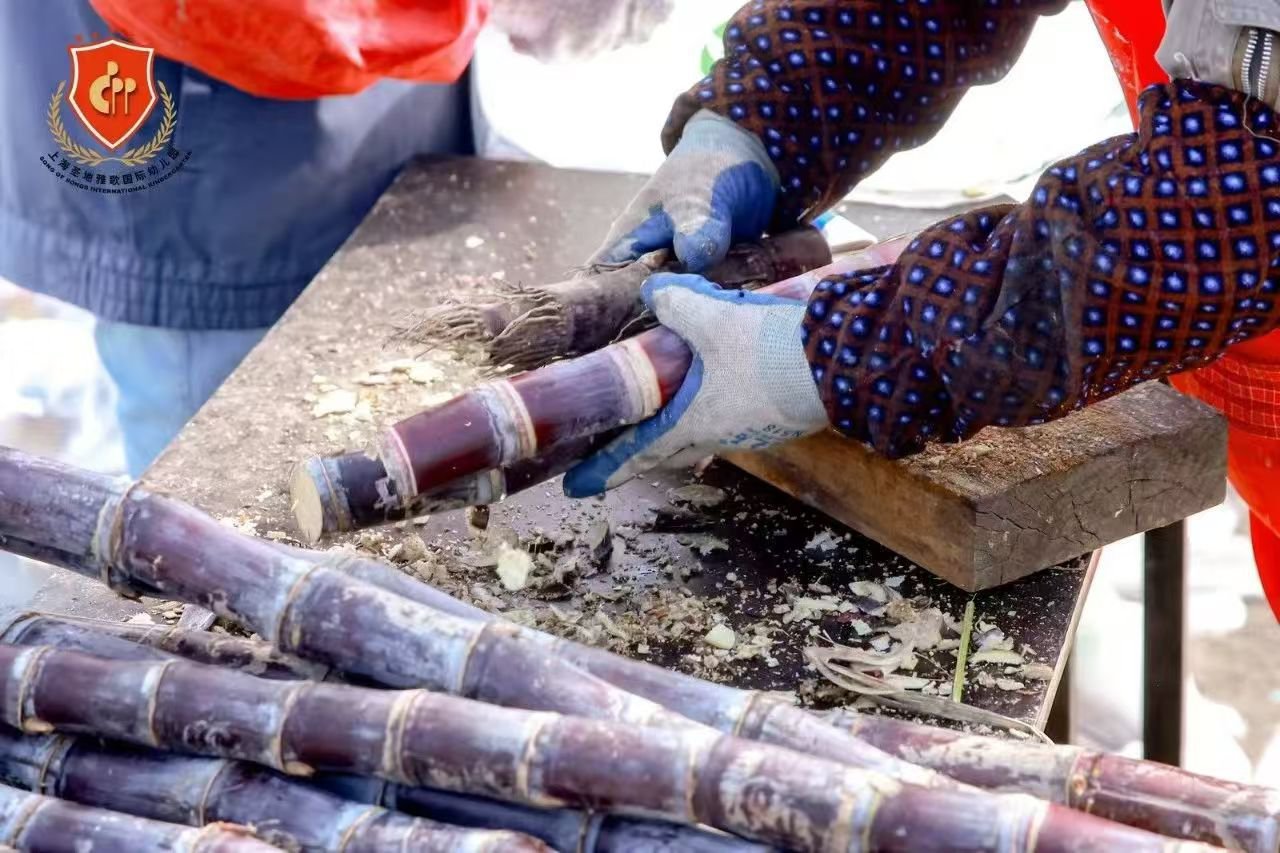 美高梅集团4688am(唯一)有限公司官网