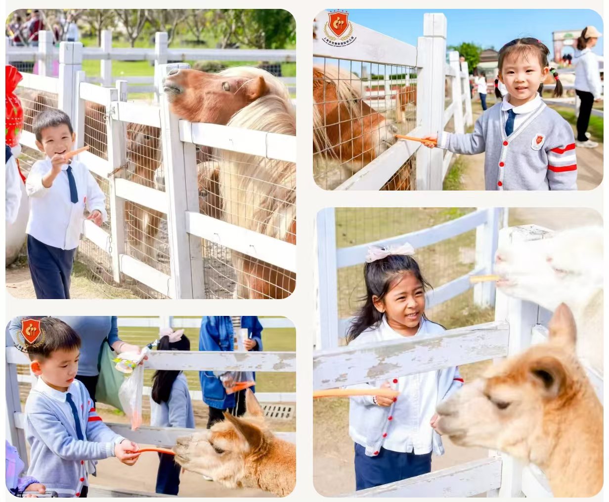 美高梅集团4688am(唯一)有限公司官网