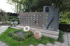 致敬“平安卫士”，，，，，，铭刻“刑警之魂”