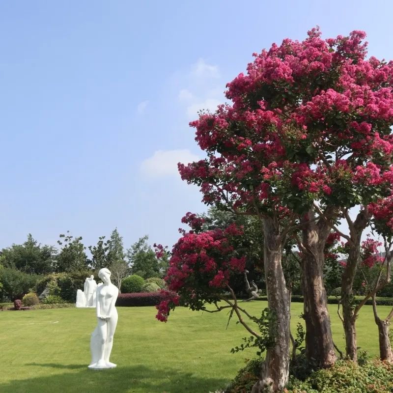 美高梅集团4688am(唯一)有限公司官网