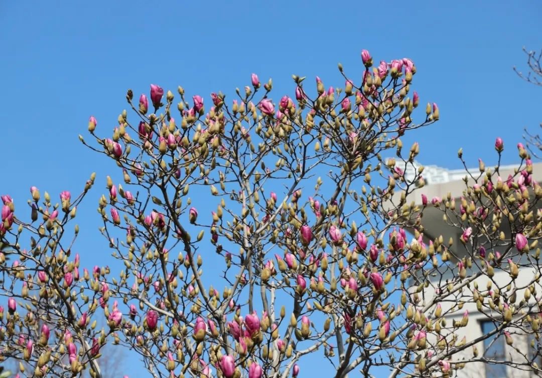 美高梅集团4688am(唯一)有限公司官网