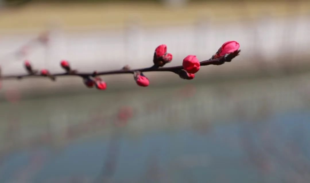 美高梅集团4688am(唯一)有限公司官网