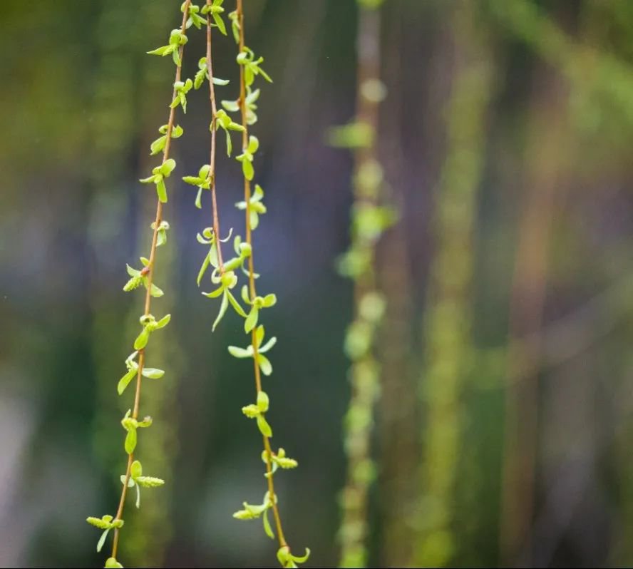 美高梅集团4688am(唯一)有限公司官网