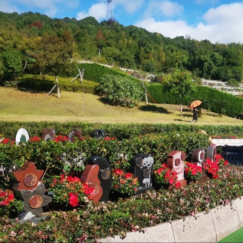 美高梅集团4688am(唯一)有限公司官网