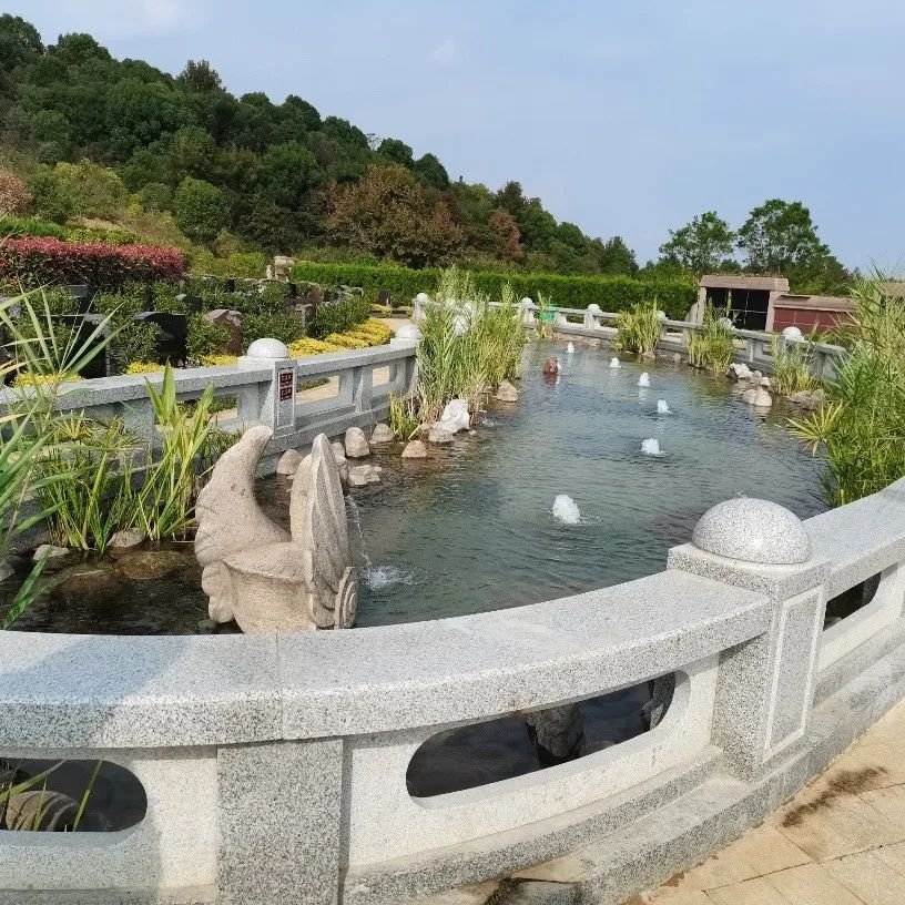 美高梅集团4688am(唯一)有限公司官网