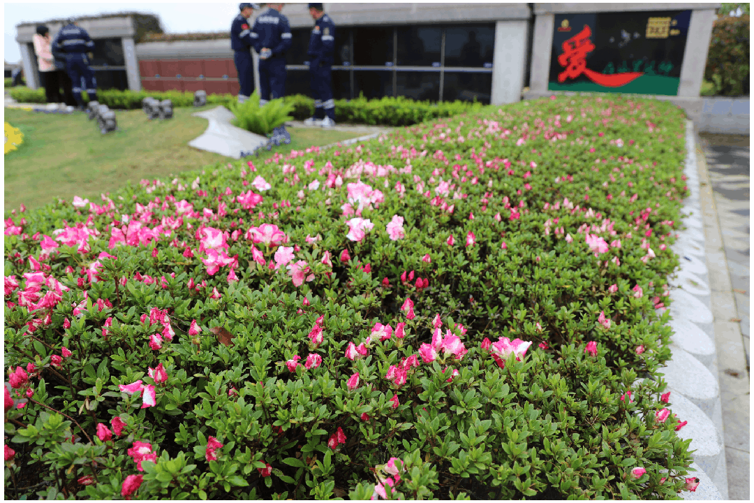 美高梅集团4688am(唯一)有限公司官网