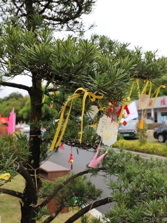 美高梅集团4688am(唯一)有限公司官网