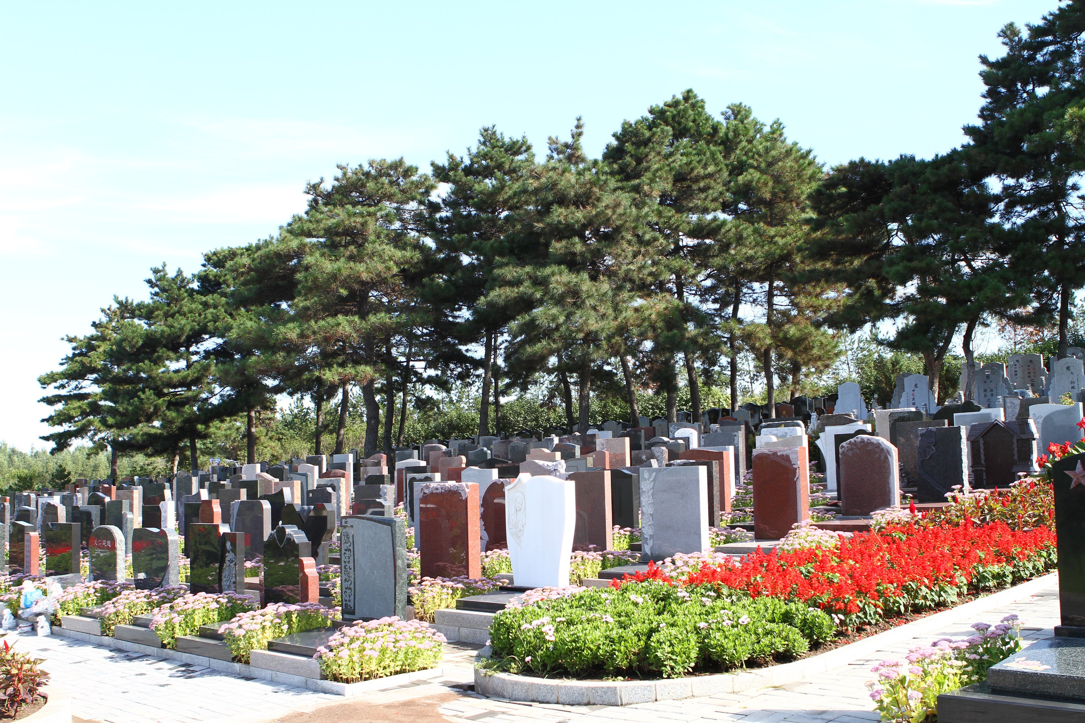 美高梅集团4688am(唯一)有限公司官网