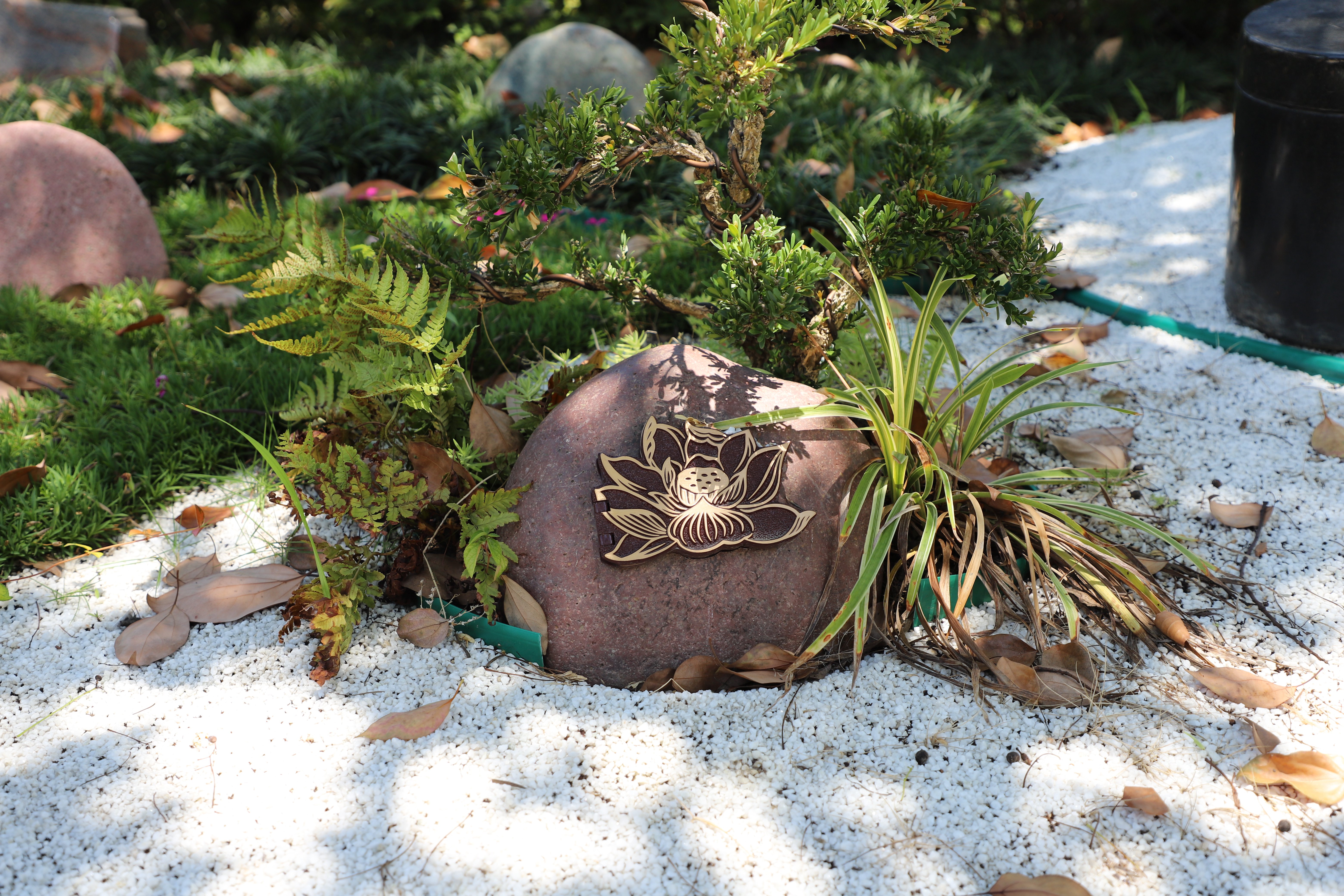 美高梅集团4688am(唯一)有限公司官网