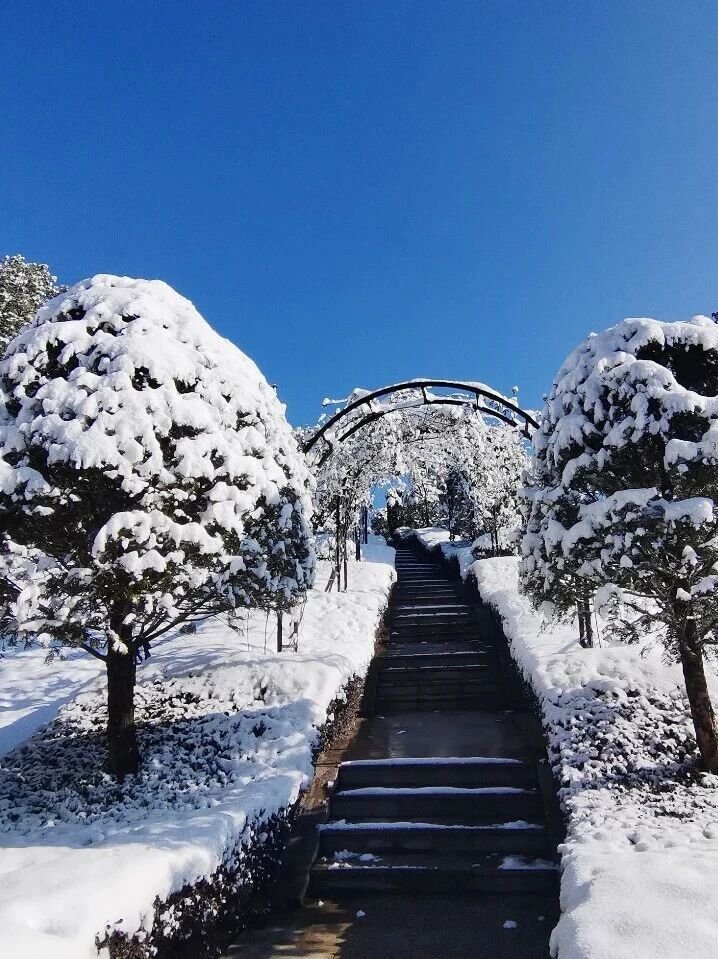 美高梅集团4688am(唯一)有限公司官网