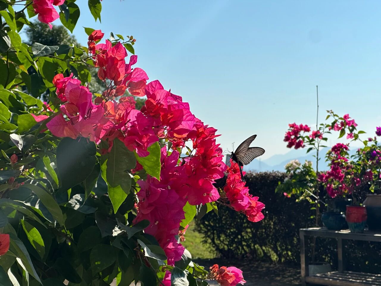 美高梅集团4688am(唯一)有限公司官网