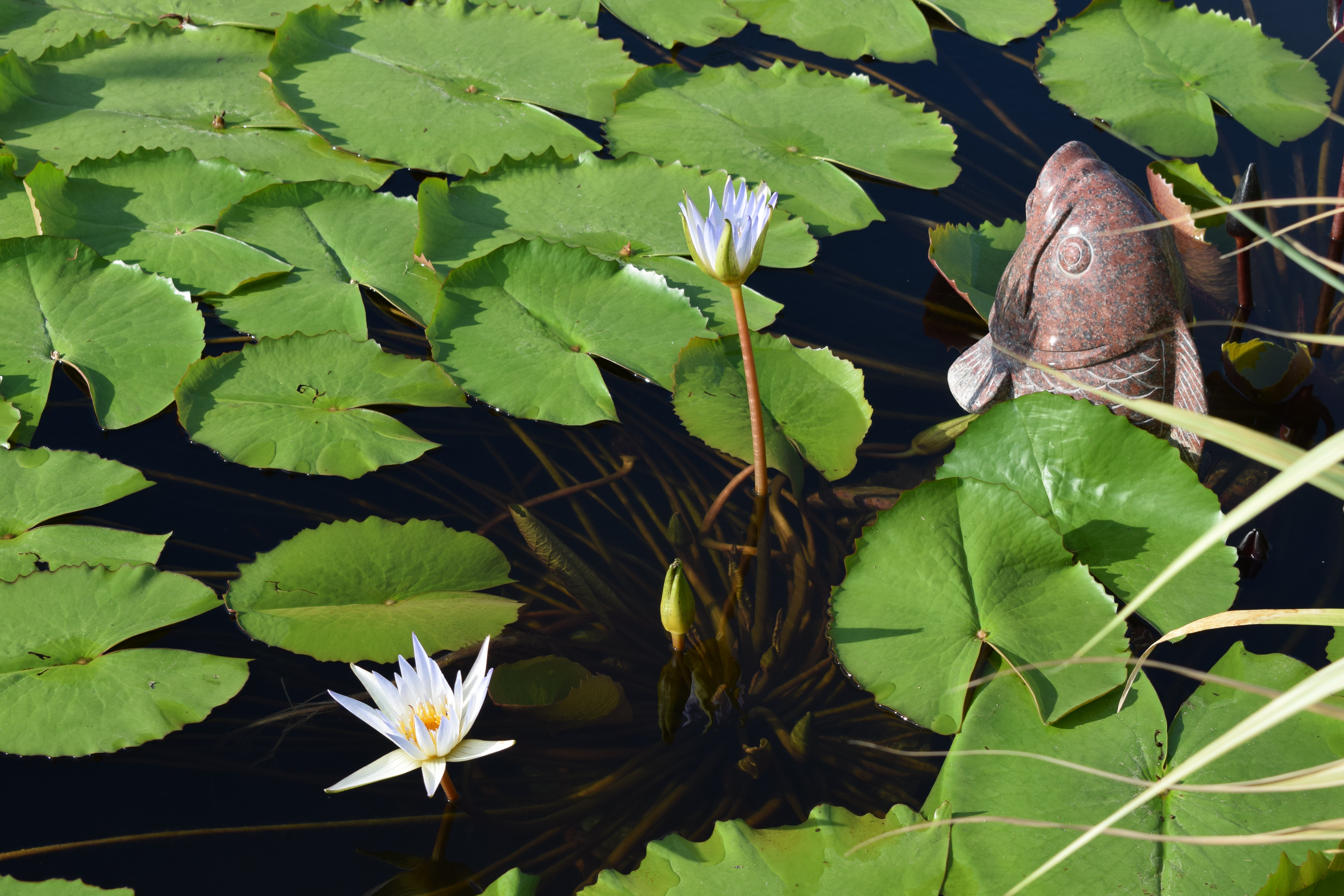 美高梅集团4688am(唯一)有限公司官网