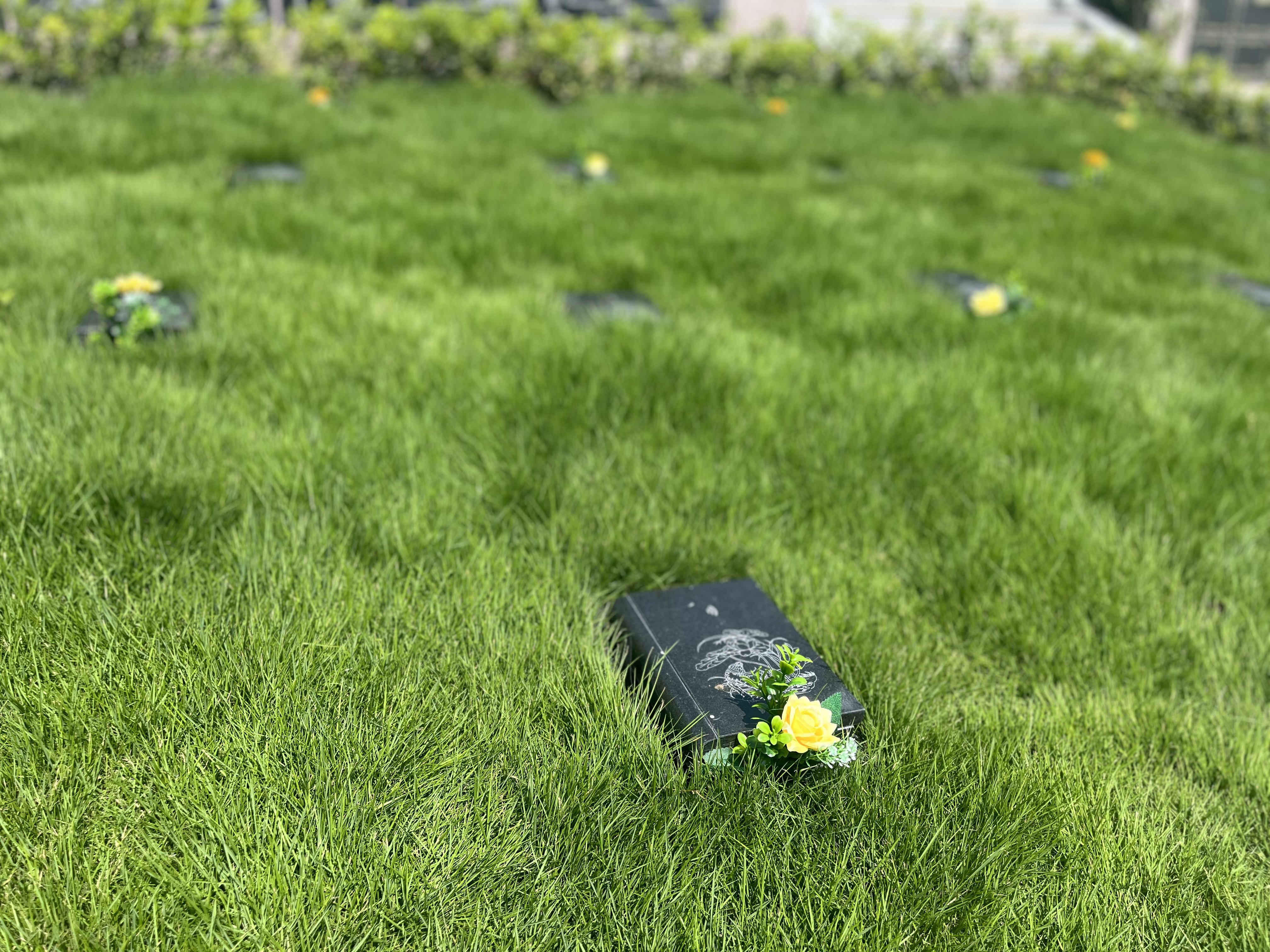 美高梅集团4688am(唯一)有限公司官网