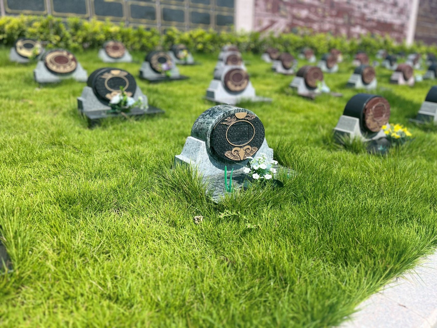 美高梅集团4688am(唯一)有限公司官网