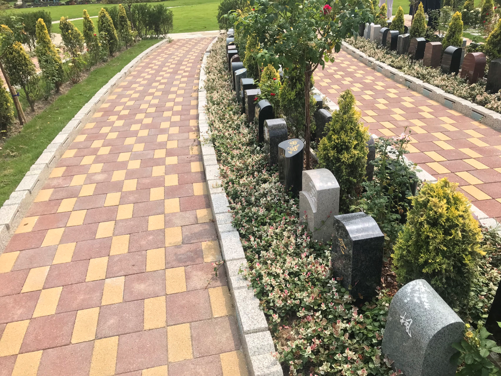 美高梅集团4688am(唯一)有限公司官网