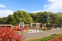 都会角落的星河：当墓园成为生命的另一种花园