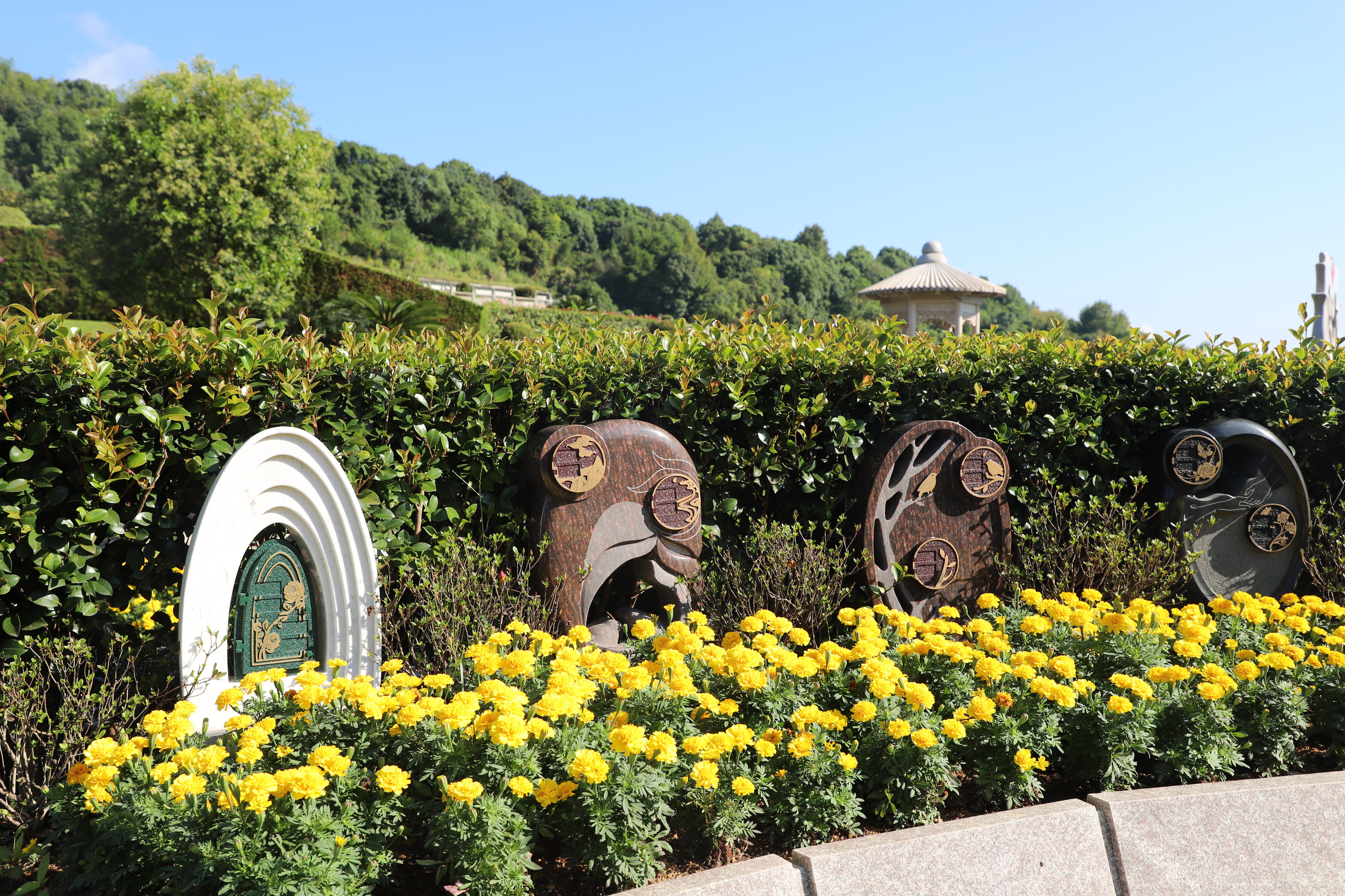 美高梅集团4688am(唯一)有限公司官网