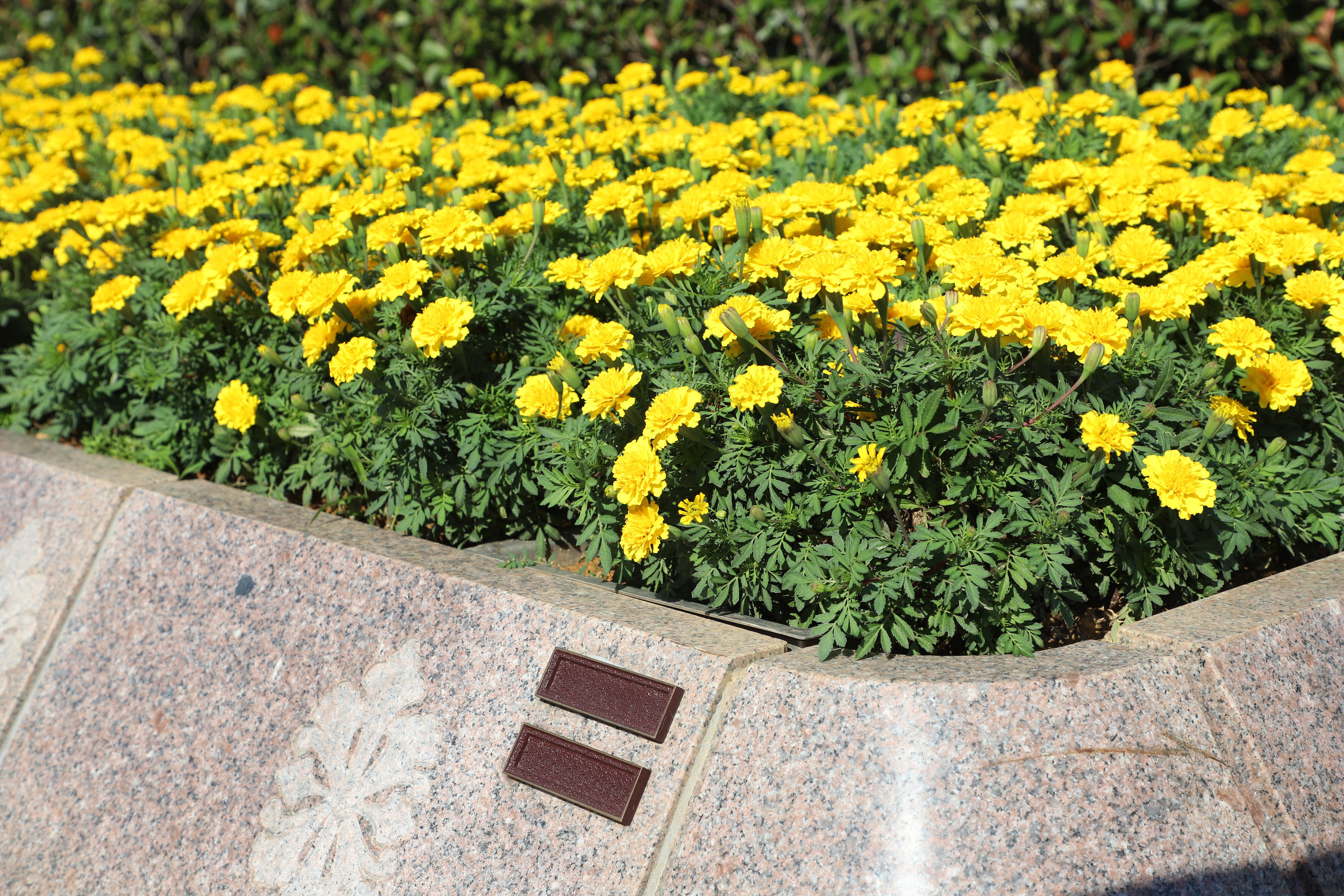 美高梅集团4688am(唯一)有限公司官网